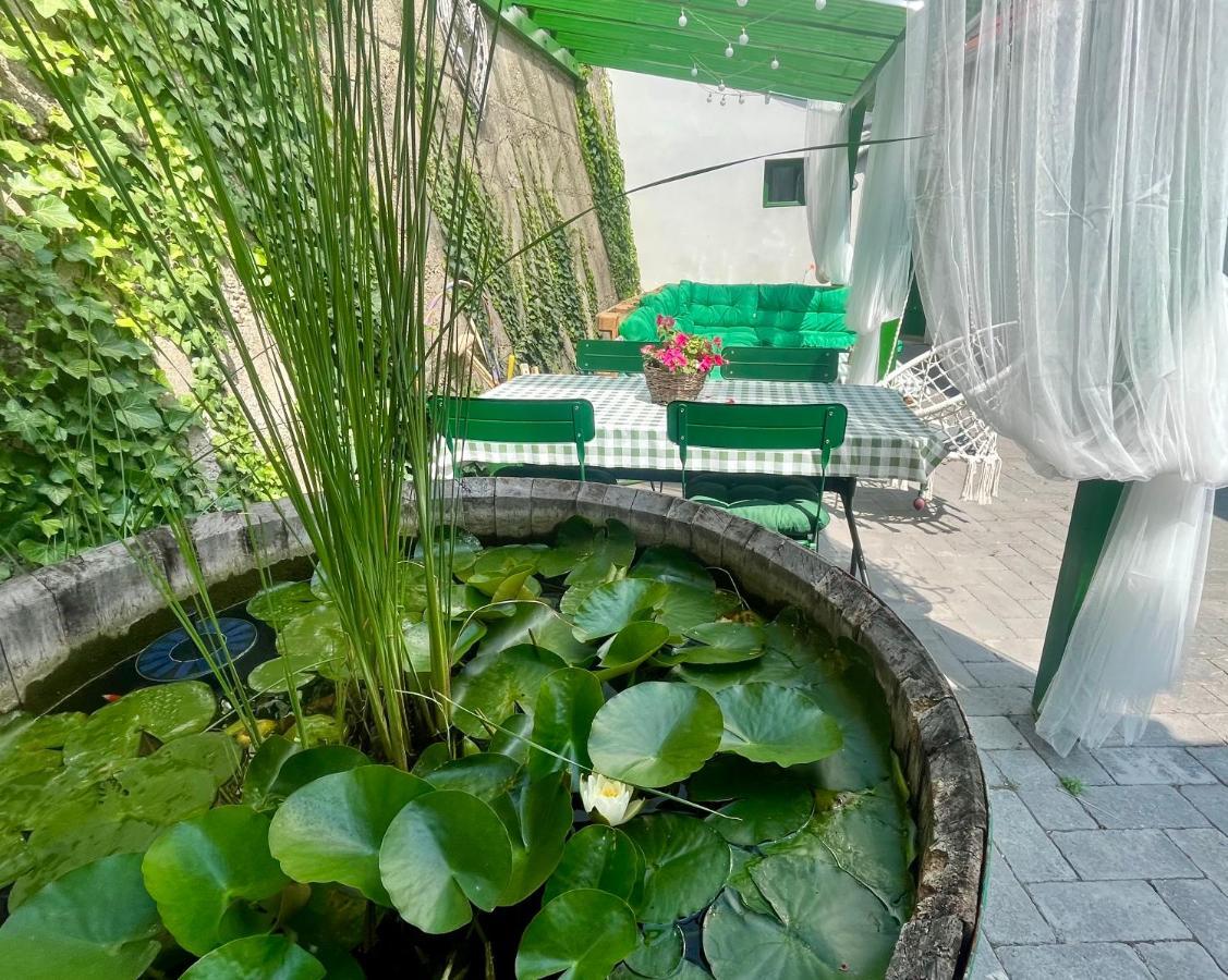Ladislaus Schnaps-Haus Falusi Vendeghaz Csolnok Bagian luar foto